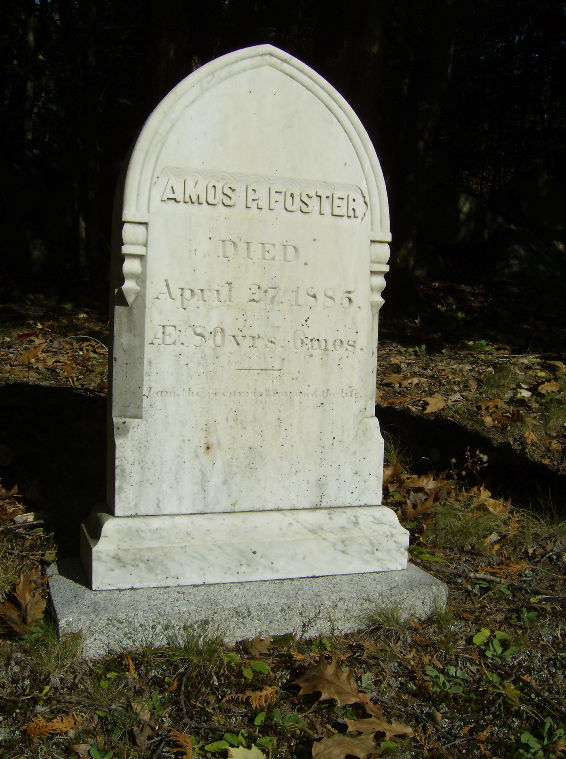 Amos Foster